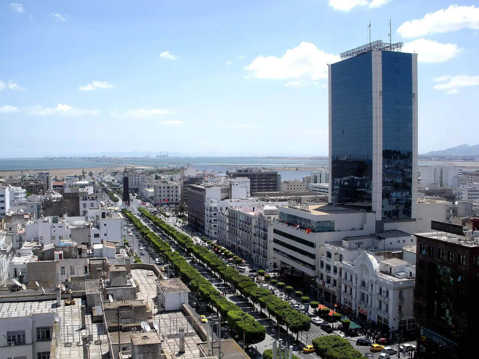 Aerial view of the tree-lined Avenue Habib Bourguiba in central Tunis, with a glass tower on the right